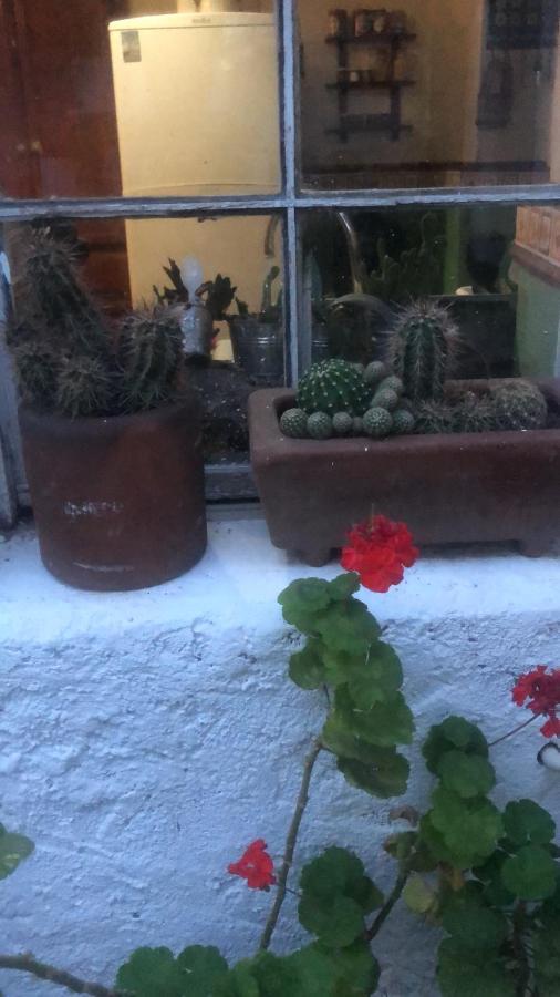 אידלגו דל פראל Home Stay Maria מראה חיצוני תמונה